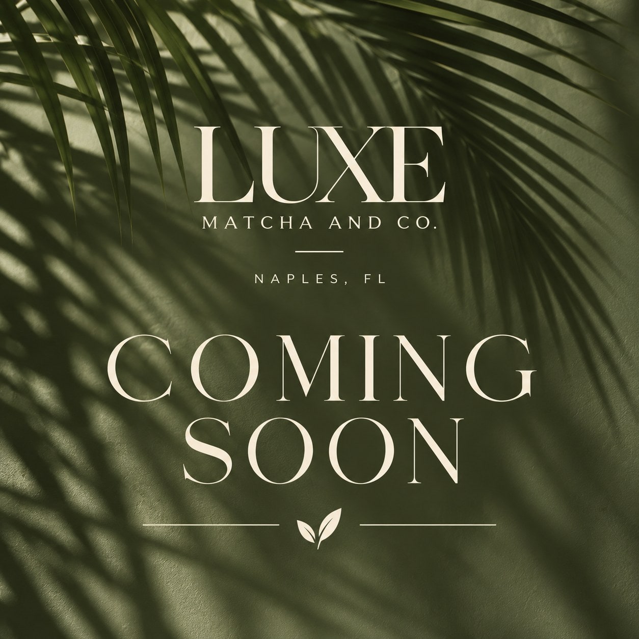 Luxe Matcha & Co. — coming soon to Naples, Florida